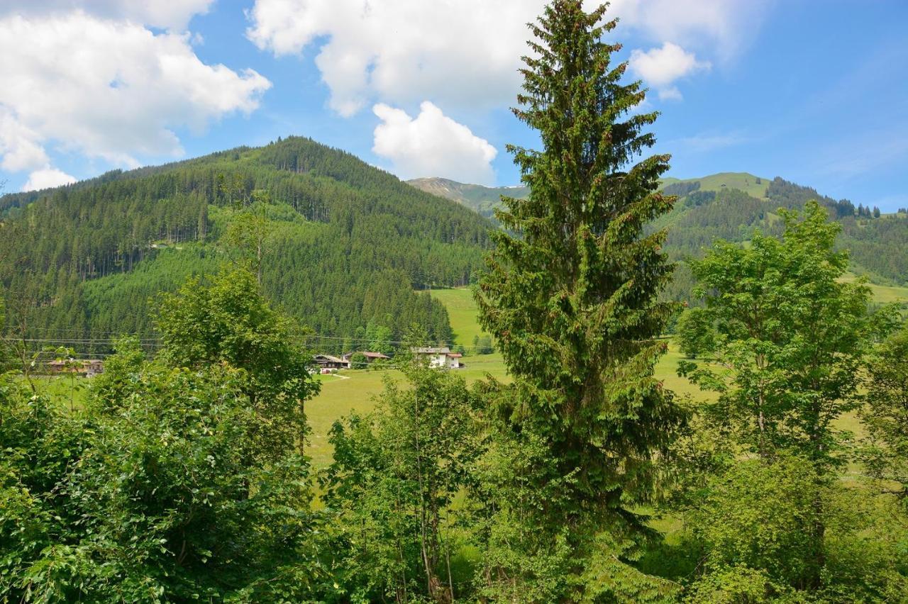 Alte Bildhauerei Apartment Aurach bei Kitzbuehel Luaran gambar